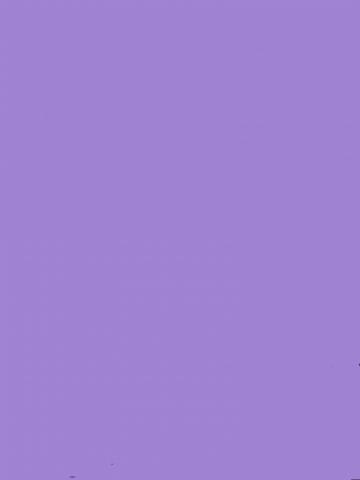 Маргарита фото 2